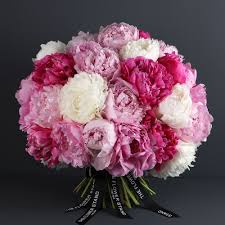 PEONIES FLOWERS (BIG)