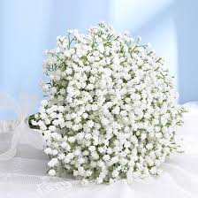 BABY BREATH FLOWERS
