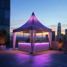 20X20FT PAGODA TENT WITH SIDE COVER