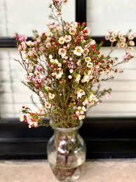 FILLERS FLOWER